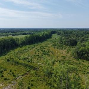 Photo #4 of 109ac Nc 32 N & Amp Corapeake, Corapeake, NC 99.6 acres
