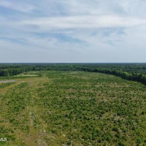Photo #5 of 109ac Nc 32 N & Amp Corapeake, Corapeake, NC 99.6 acres