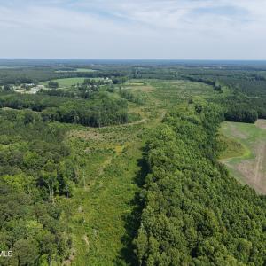 Photo #14 of 109ac Nc 32 N & Amp Corapeake, Corapeake, NC 99.6 acres