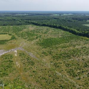 Photo #11 of 109ac Nc 32 N & Amp Corapeake, Corapeake, NC 99.6 acres