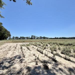 Photo #52 of 500 Indian Trail, Edenton, NC 964.4 acres