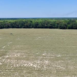 Photo #29 of 500 Indian Trail, Edenton, NC 964.4 acres