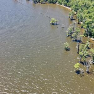Photo #38 of 500 Indian Trail, Edenton, NC 964.4 acres