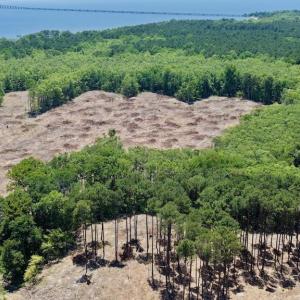 Photo #18 of 500 Indian Trail, Edenton, NC 964.4 acres