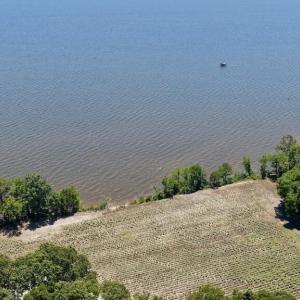 Photo #10 of 500 Indian Trail, Edenton, NC 964.4 acres