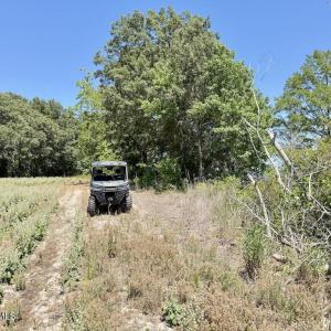 Photo #54 of 500 Indian Trail, Edenton, NC 964.4 acres