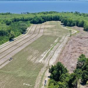 Photo #19 of 500 Indian Trail, Edenton, NC 964.4 acres