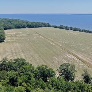 Photo #8 of 500 Indian Trail, Edenton, NC 964.4 acres