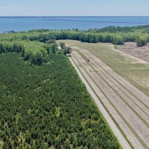 Photo #40 of 500 Indian Trail, Edenton, NC 964.4 acres