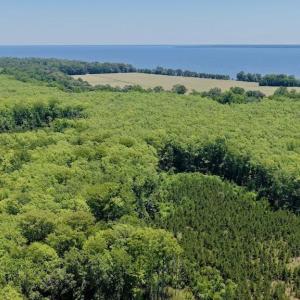 Photo #14 of 500 Indian Trail, Edenton, NC 964.4 acres