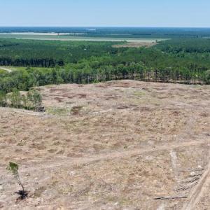 Photo #21 of 500 Indian Trail, Edenton, NC 964.4 acres