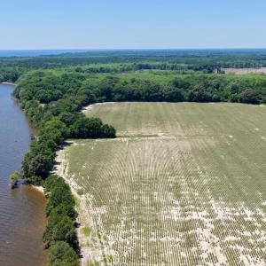Photo #5 of 500 Indian Trail, Edenton, NC 964.4 acres