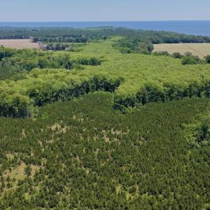 Photo #17 of 500 Indian Trail, Edenton, NC 964.4 acres