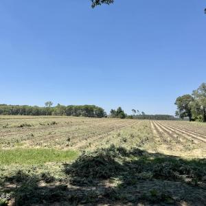 Photo #47 of 500 Indian Trail, Edenton, NC 964.4 acres