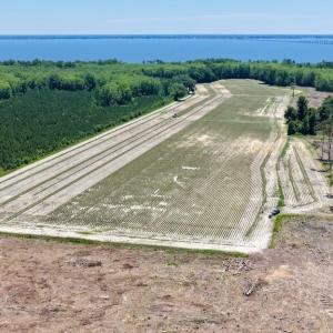 Photo #41 of 500 Indian Trail, Edenton, NC 964.4 acres