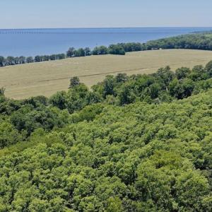 Photo #12 of 500 Indian Trail, Edenton, NC 964.4 acres