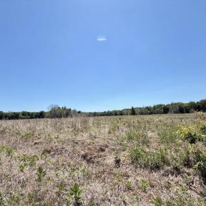Photo #58 of 500 Indian Trail, Edenton, NC 964.4 acres