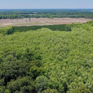 Photo #31 of 500 Indian Trail, Edenton, NC 964.4 acres