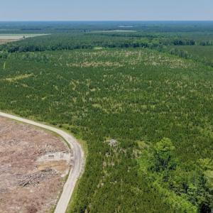 Photo #35 of 500 Indian Trail, Edenton, NC 964.4 acres