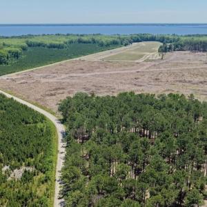 Photo #43 of 500 Indian Trail, Edenton, NC 964.4 acres