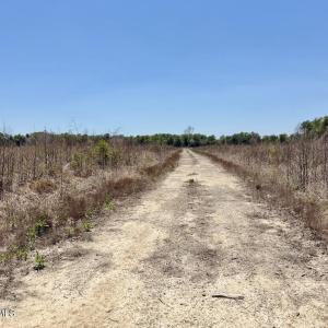 Photo #57 of 500 Indian Trail, Edenton, NC 964.4 acres