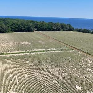 Photo #27 of 500 Indian Trail, Edenton, NC 964.4 acres