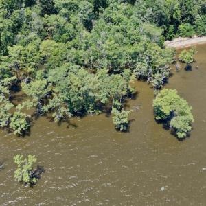 Photo #39 of 500 Indian Trail, Edenton, NC 964.4 acres