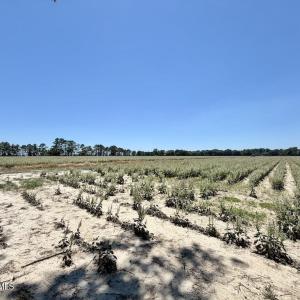 Photo #53 of 500 Indian Trail, Edenton, NC 964.4 acres