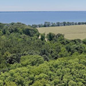 Photo #11 of 500 Indian Trail, Edenton, NC 964.4 acres