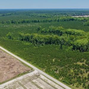 Photo #23 of 500 Indian Trail, Edenton, NC 964.4 acres