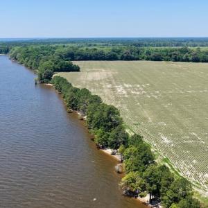 Photo #6 of 500 Indian Trail, Edenton, NC 964.4 acres