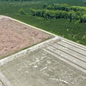Photo #20 of 500 Indian Trail, Edenton, NC 964.4 acres