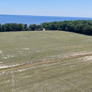 Photo #25 of 500 Indian Trail, Edenton, NC 964.4 acres