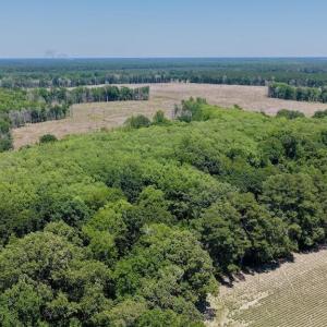 Photo #32 of 500 Indian Trail, Edenton, NC 964.4 acres