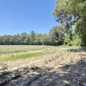 Photo #50 of 500 Indian Trail, Edenton, NC 964.4 acres