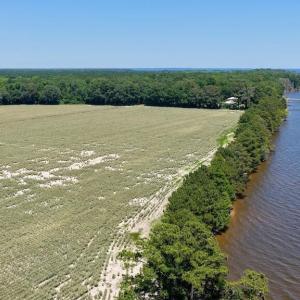 Photo #30 of 500 Indian Trail, Edenton, NC 964.4 acres