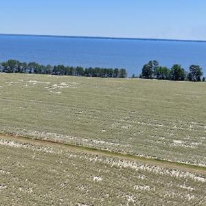 Photo #26 of 500 Indian Trail, Edenton, NC 964.4 acres