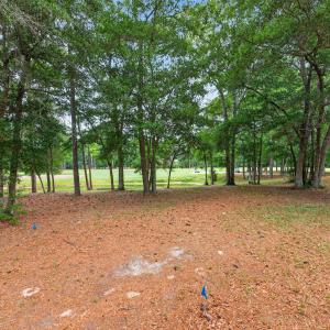 Photo #17 of 85 Marina, Supply, NC 0.3 acres