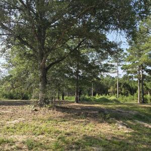 Photo #6 of 7547 Wallace, Sunset Beach, NC 0.3 acres