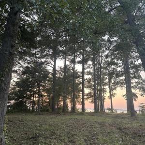 Photo #4 of Lot 2 Newberry, Roper, NC 1.0 acres