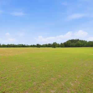 Photo #12 of Roseland, Aberdeen, NC 15.8 acres
