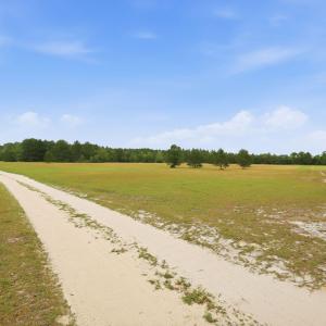 Photo #11 of Roseland, Aberdeen, NC 15.8 acres