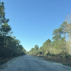 Photo #5 of 1721 Plantation, Wilmington, NC 5.5 acres