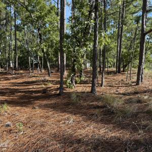 Photo #1 of 585 Westwood, Southport, NC 0.2 acres