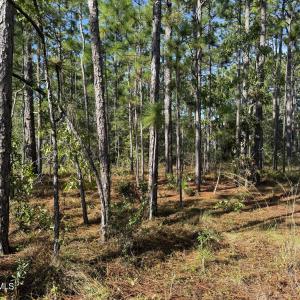 Photo #3 of 585 Westwood, Southport, NC 0.2 acres