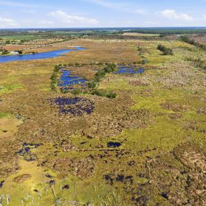 Photo #7 of No Lot # Us 264, Engelhard, NC 108.0 acres