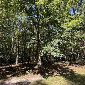 Photo #2 of 109 Chatooga, Hertford, NC 0.4 acres