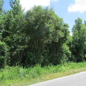 Photo #3 of 3180 Roseboro, Clinton, NC 60.0 acres