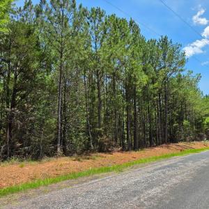 Photo #7 of Chestnut Ridge, McCormick, SC 105.0 acres
