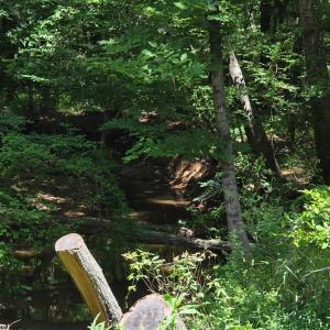 Photo #10 of Chestnut Ridge, McCormick, SC 105.0 acres